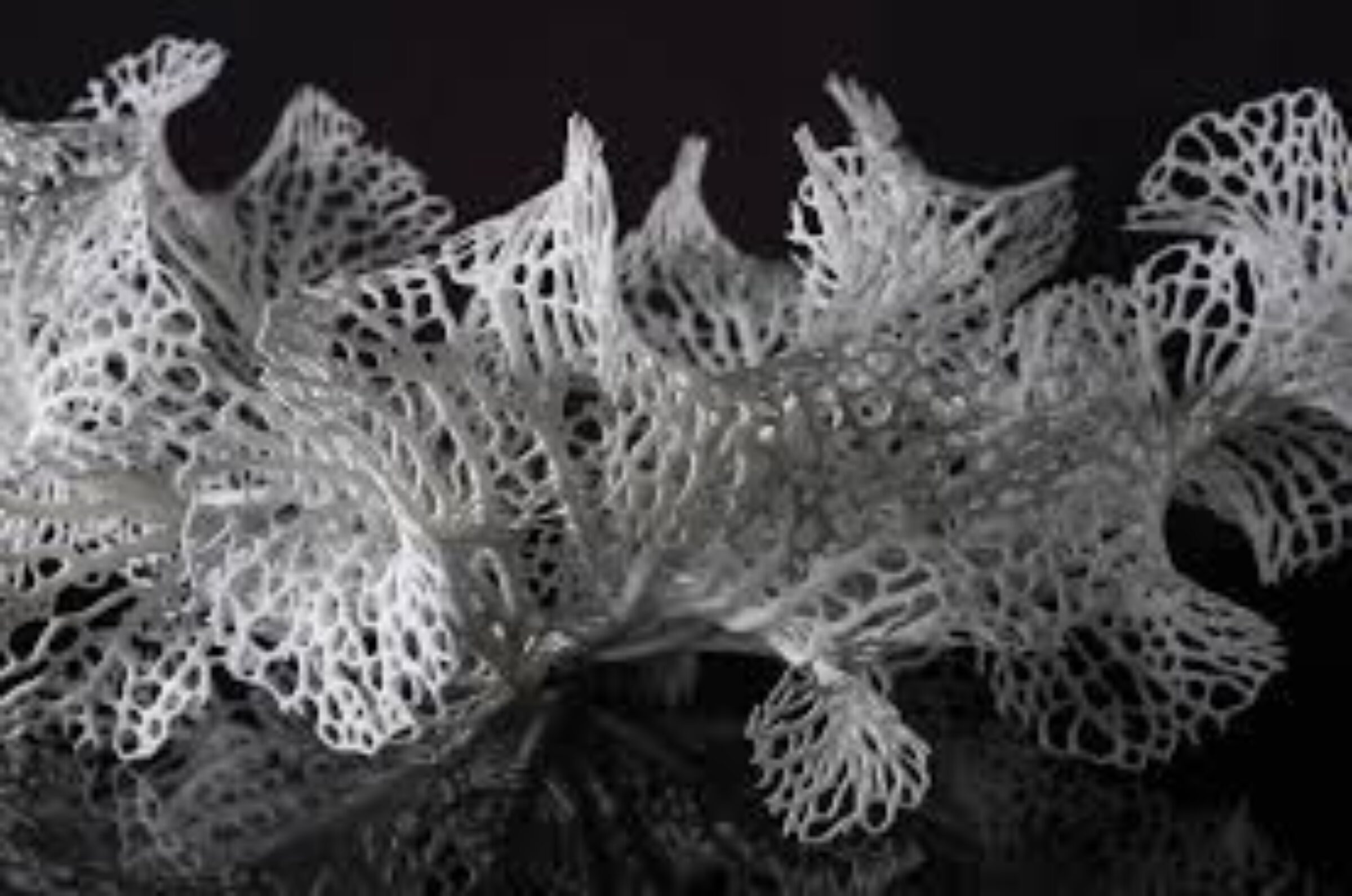 3D Printed Jewelry Nervous System