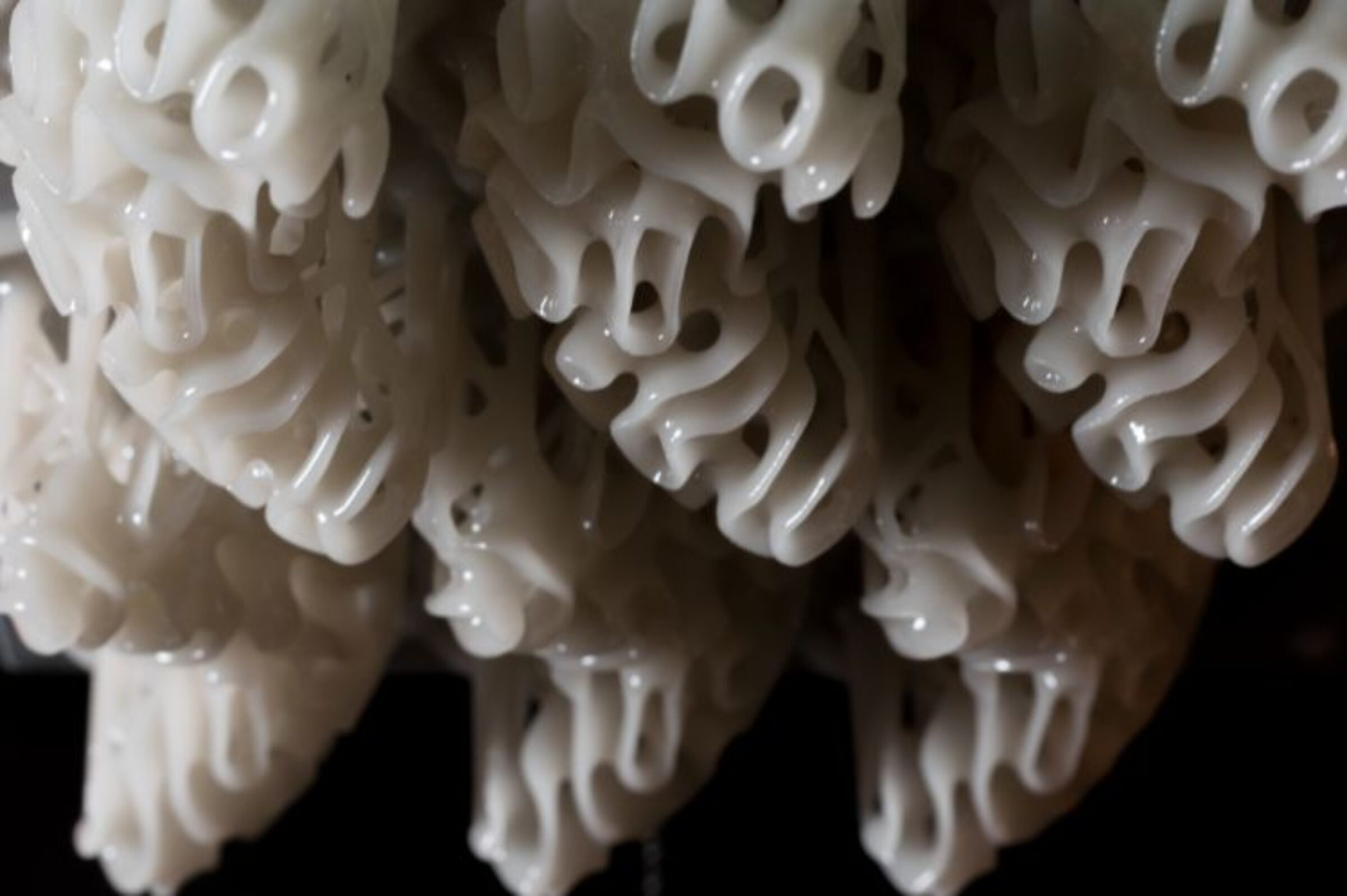 3D Printed Jewelry Nervous System