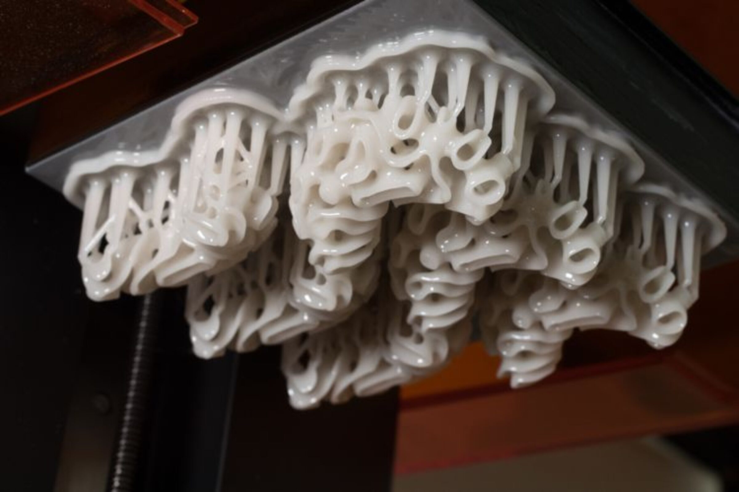 3D Printed Jewelry Nervous System