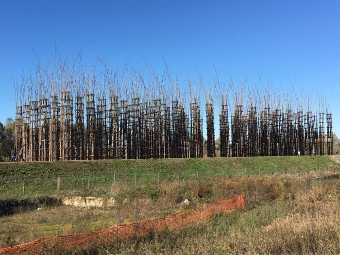 Cattedrale Vegetale | Giuliano Mauri