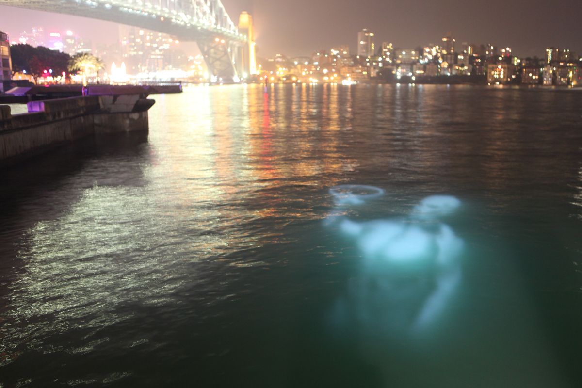 fcda78de84ef35934de66e32964a0b1b