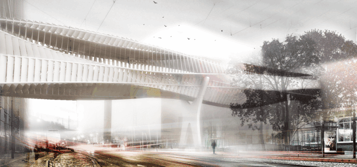 Connecting Link | Nelli Maier