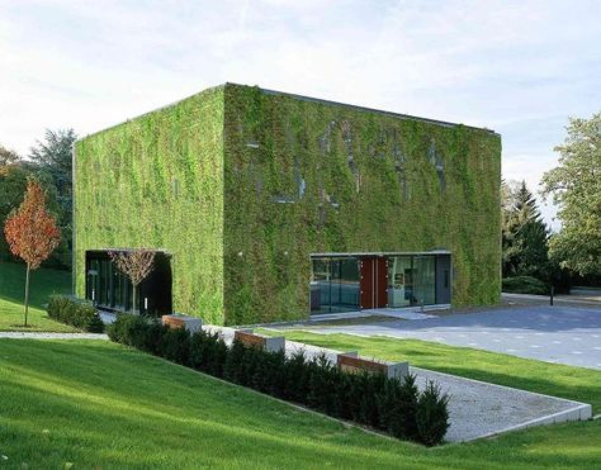 Grass Covered Home Weichlbauer Ortis Architect