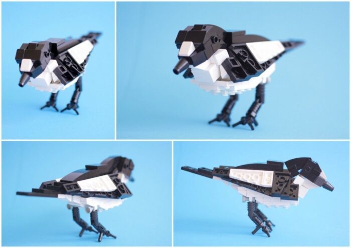 Ornithological Legos | Thomas Poulsom