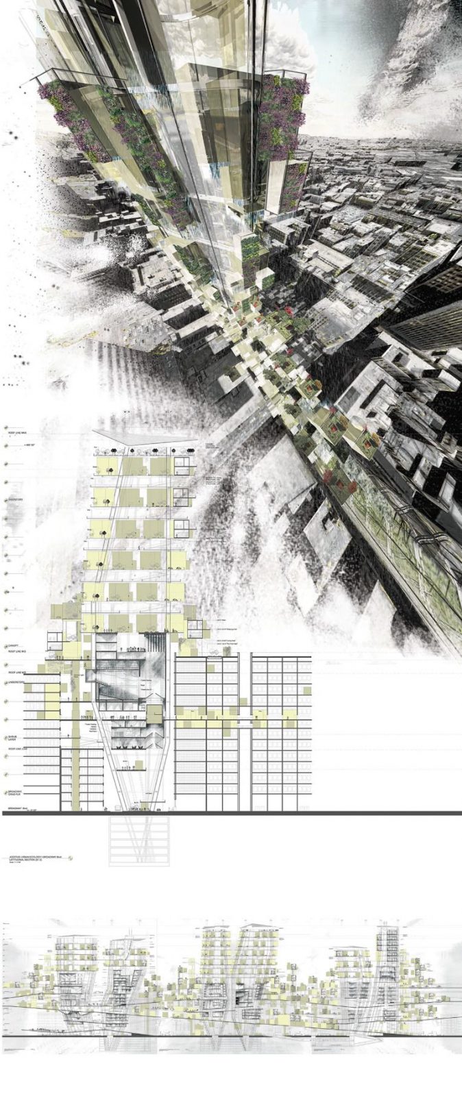 Unc sustainability master's picture
