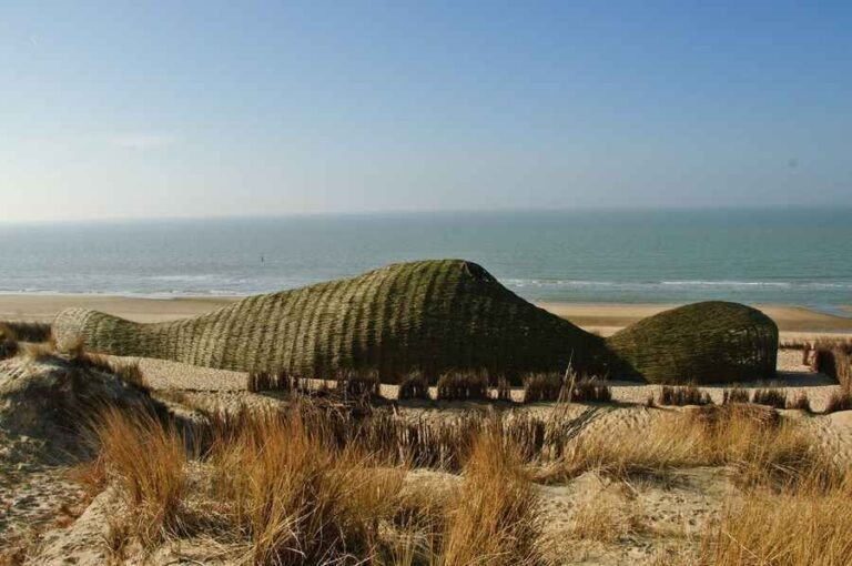 Sandworm | Marco Casagrande