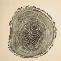Tree Ring Woodcuts | Bryan Nash Gill - Arch2O.com