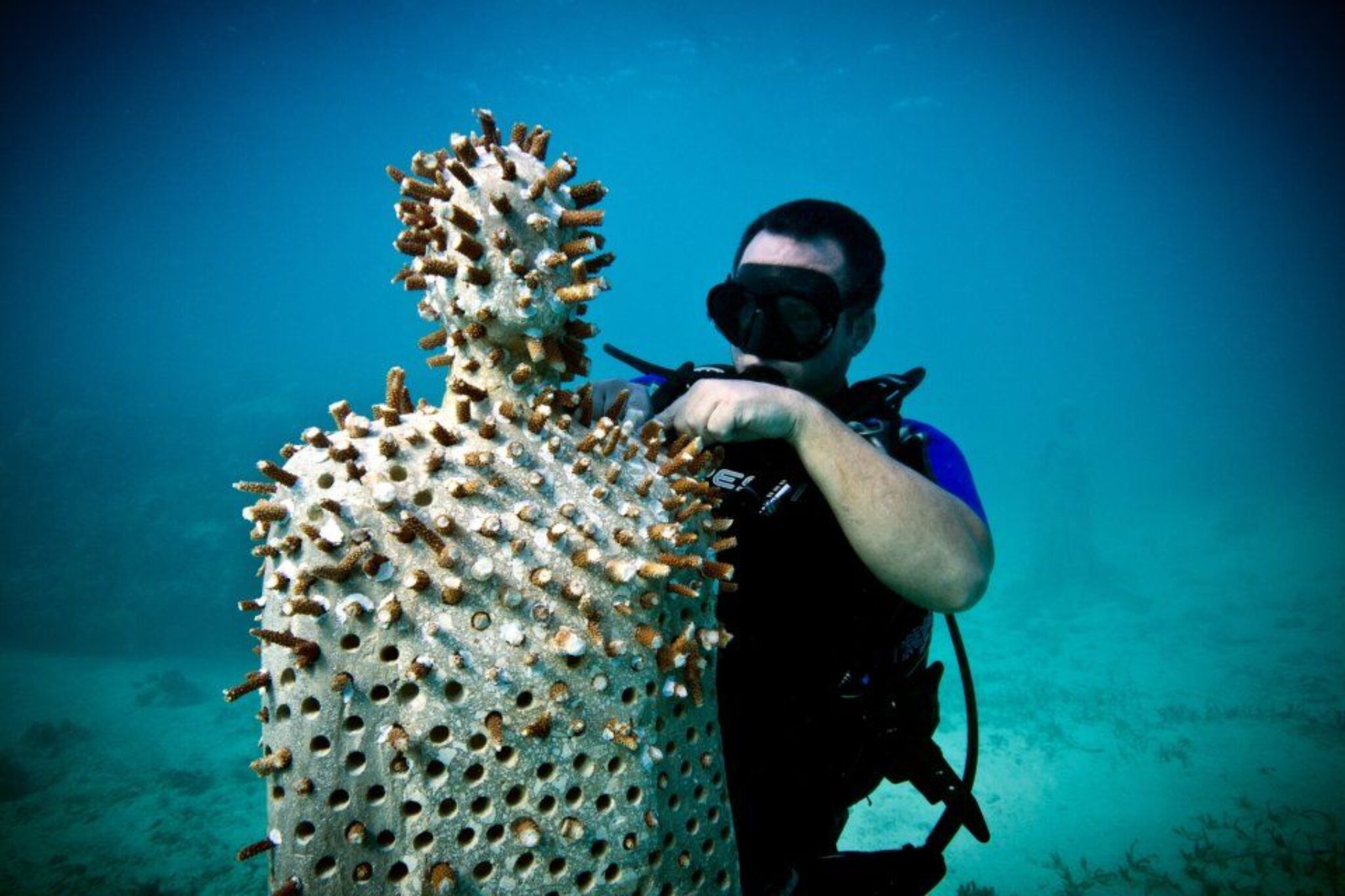 The Last Supper, The Listener, The Phoenix Jason Decaires Taylor