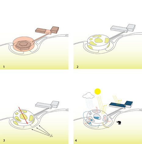 hannah diagram notext1