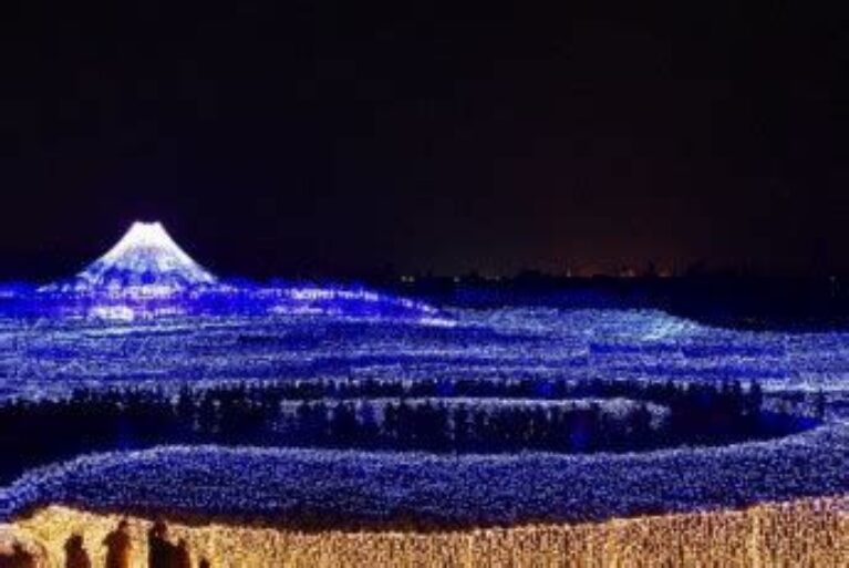 Festival of LED lights - Winter Illuminations