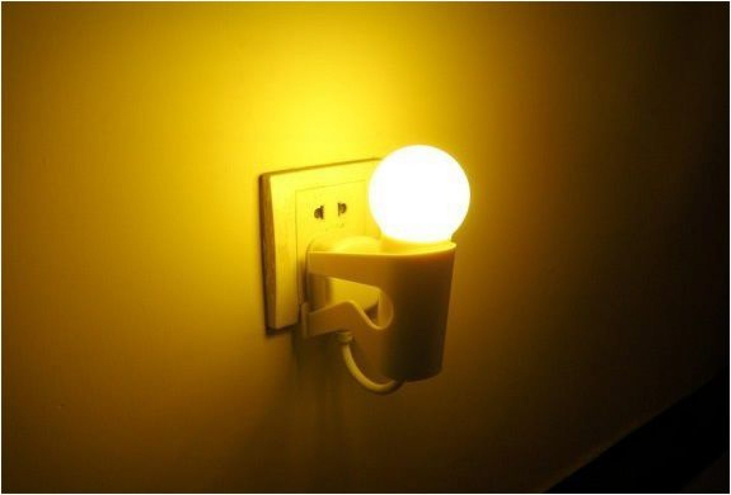 Funny Night Light “Martyr Monkey”