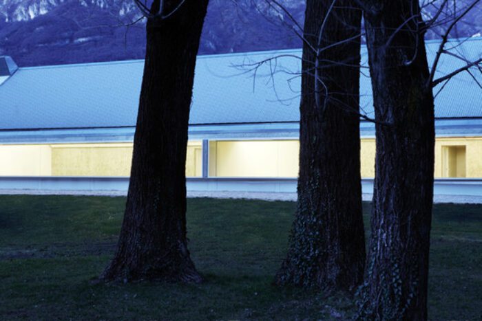 actromegialli IMG 3873bis