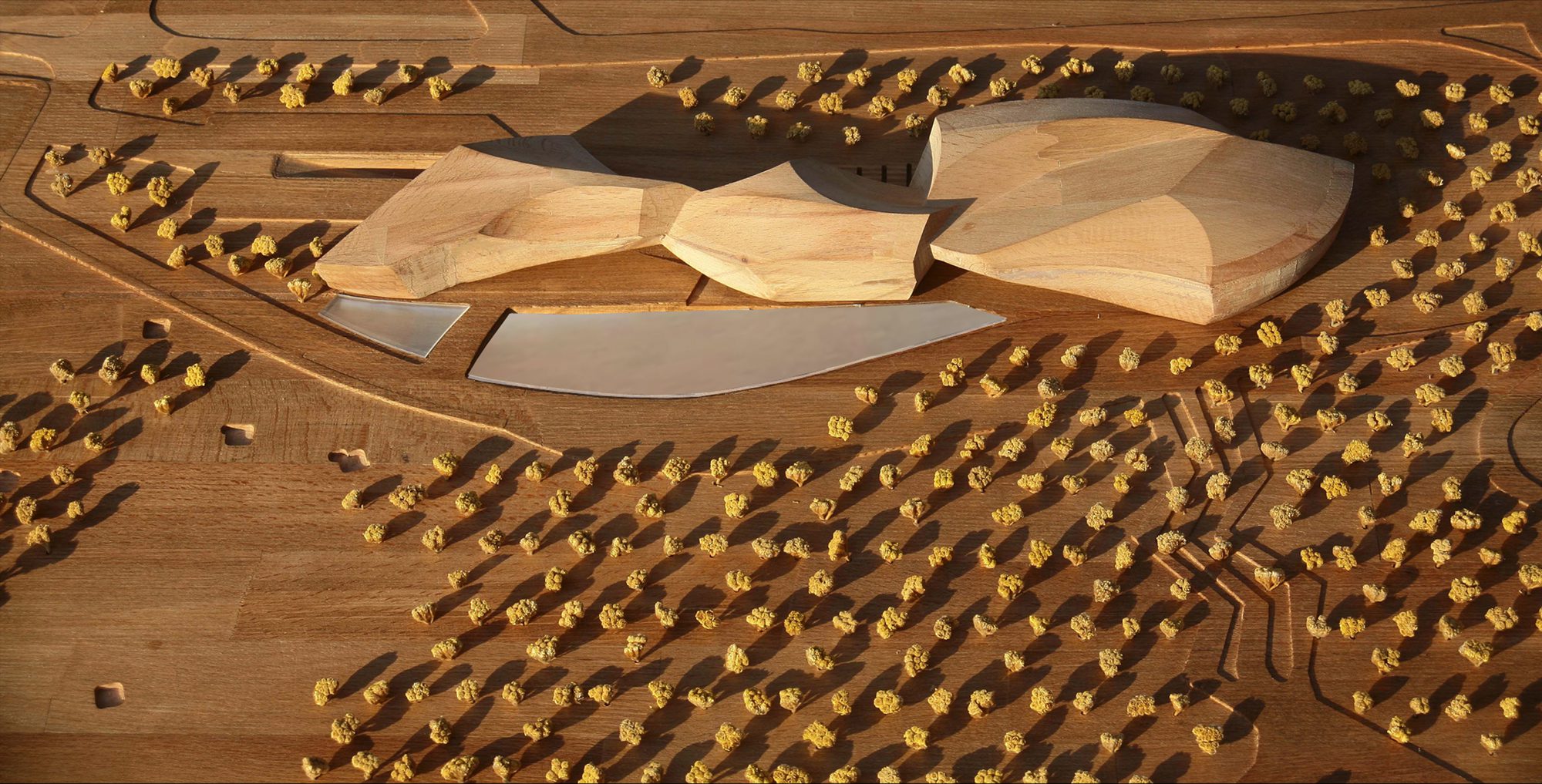 TR14.1506662125.6082