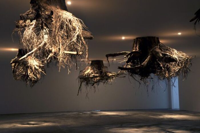 Humus | Giuseppe Licari