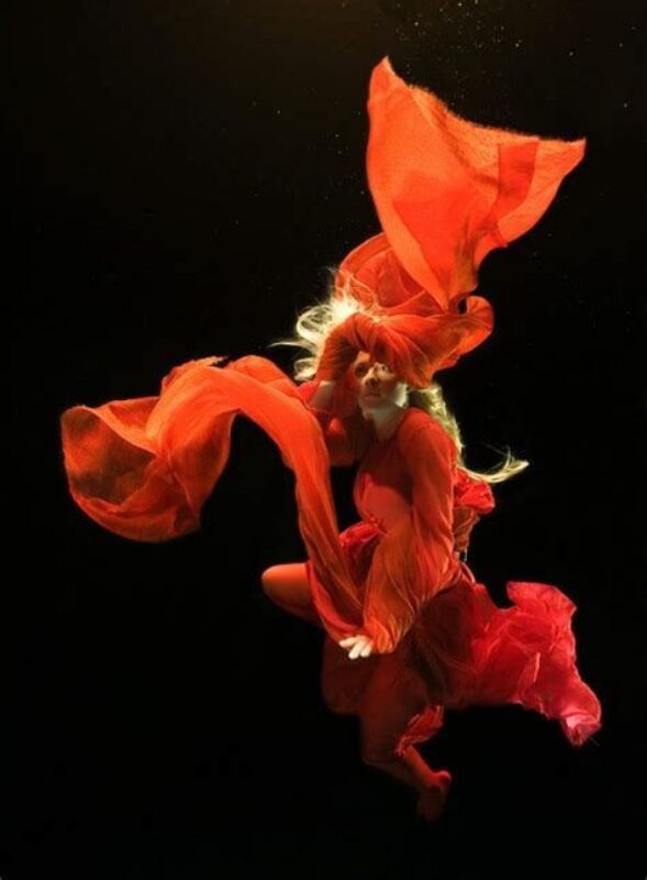 Striking Underwater Images |  Zena Holloway