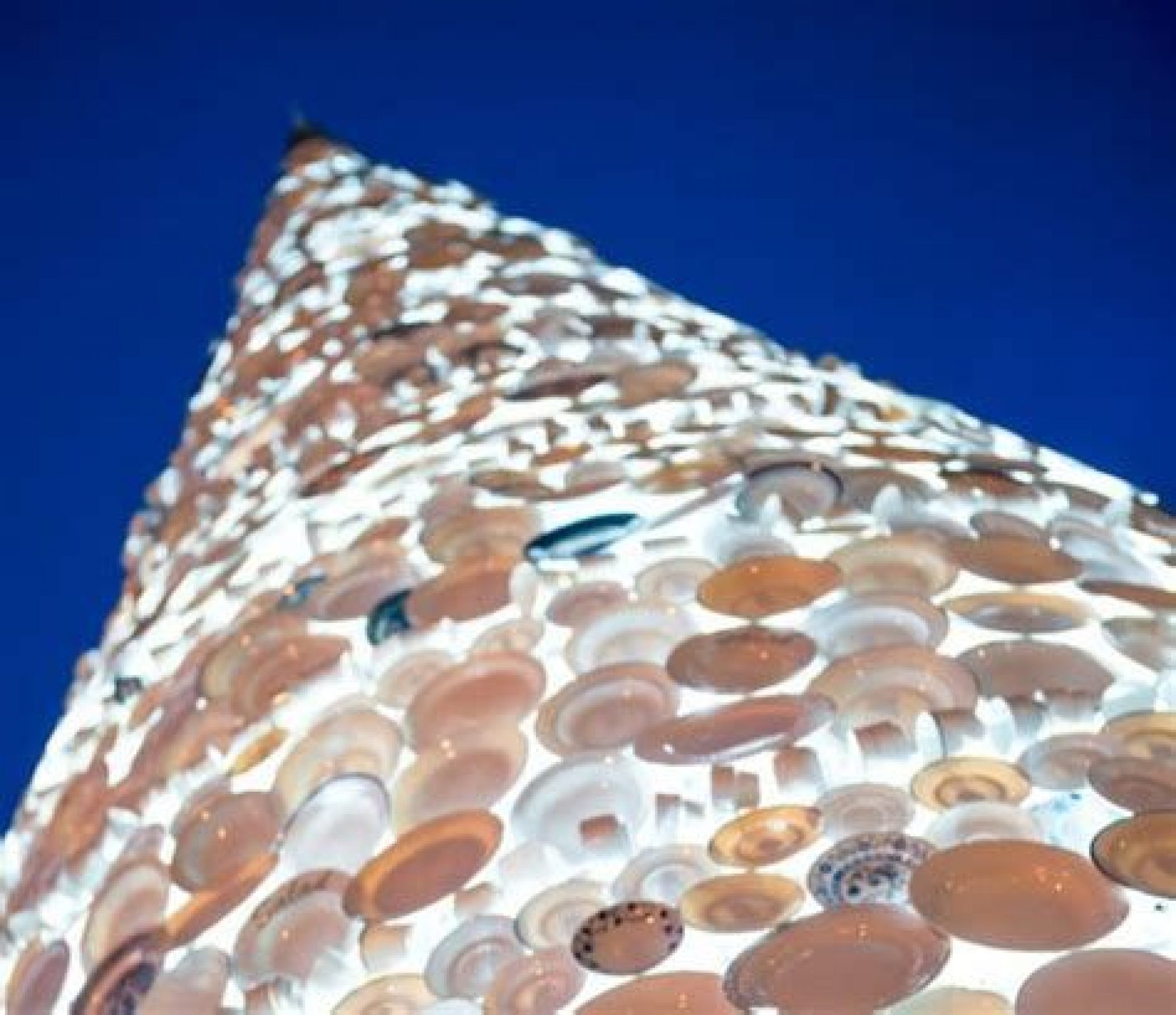 Taste Christmas Tree