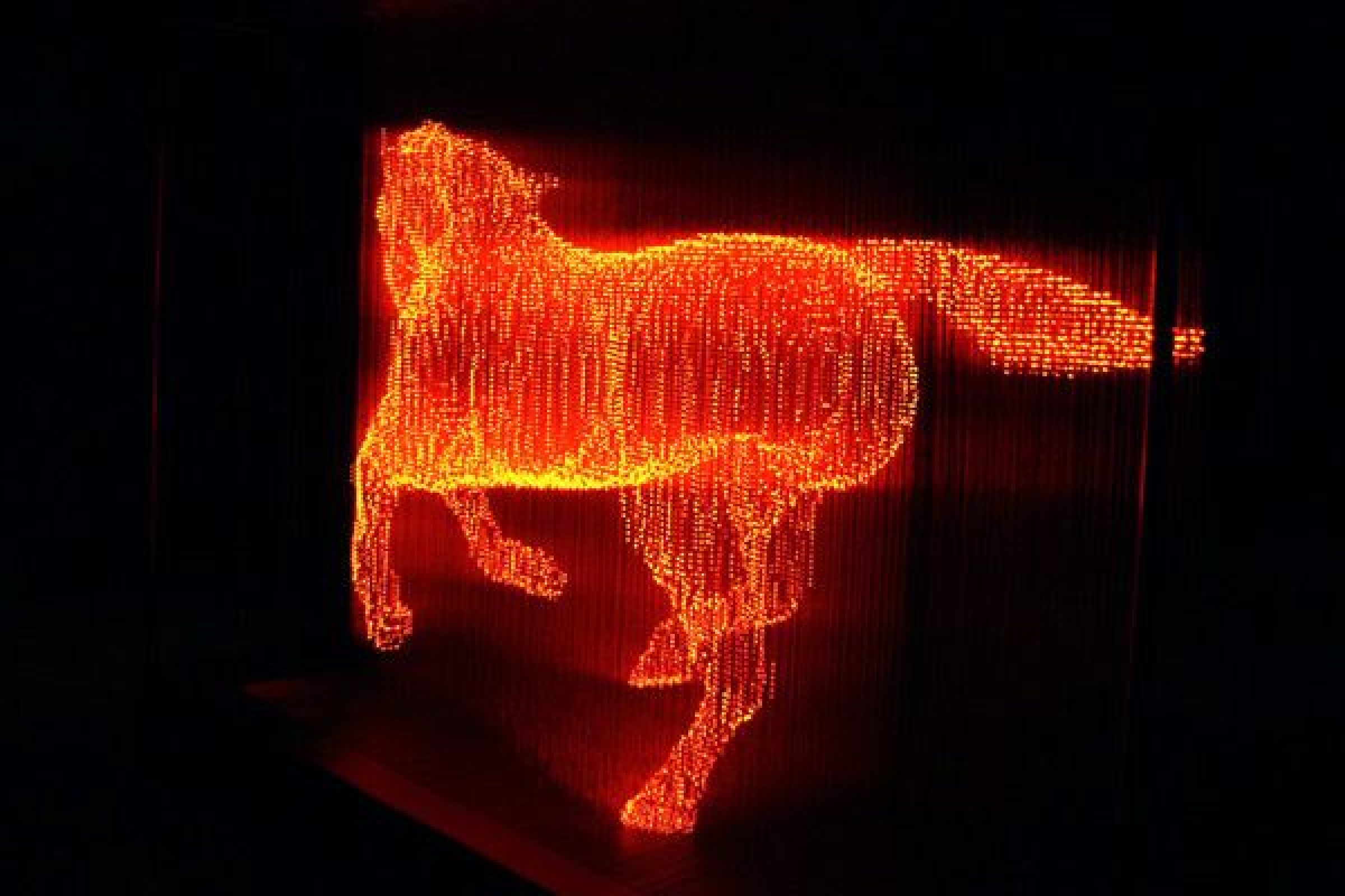 Hanging Light Sculptures Makoto Tojiki