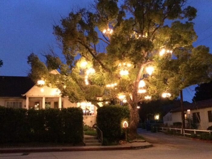 Chandelier Tree | Adam Tenenbaum