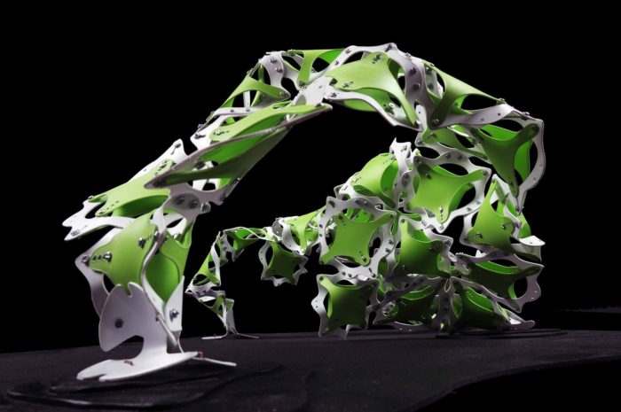 Bio-Pulse | Diego Suarez Traverso and Bart Chompff