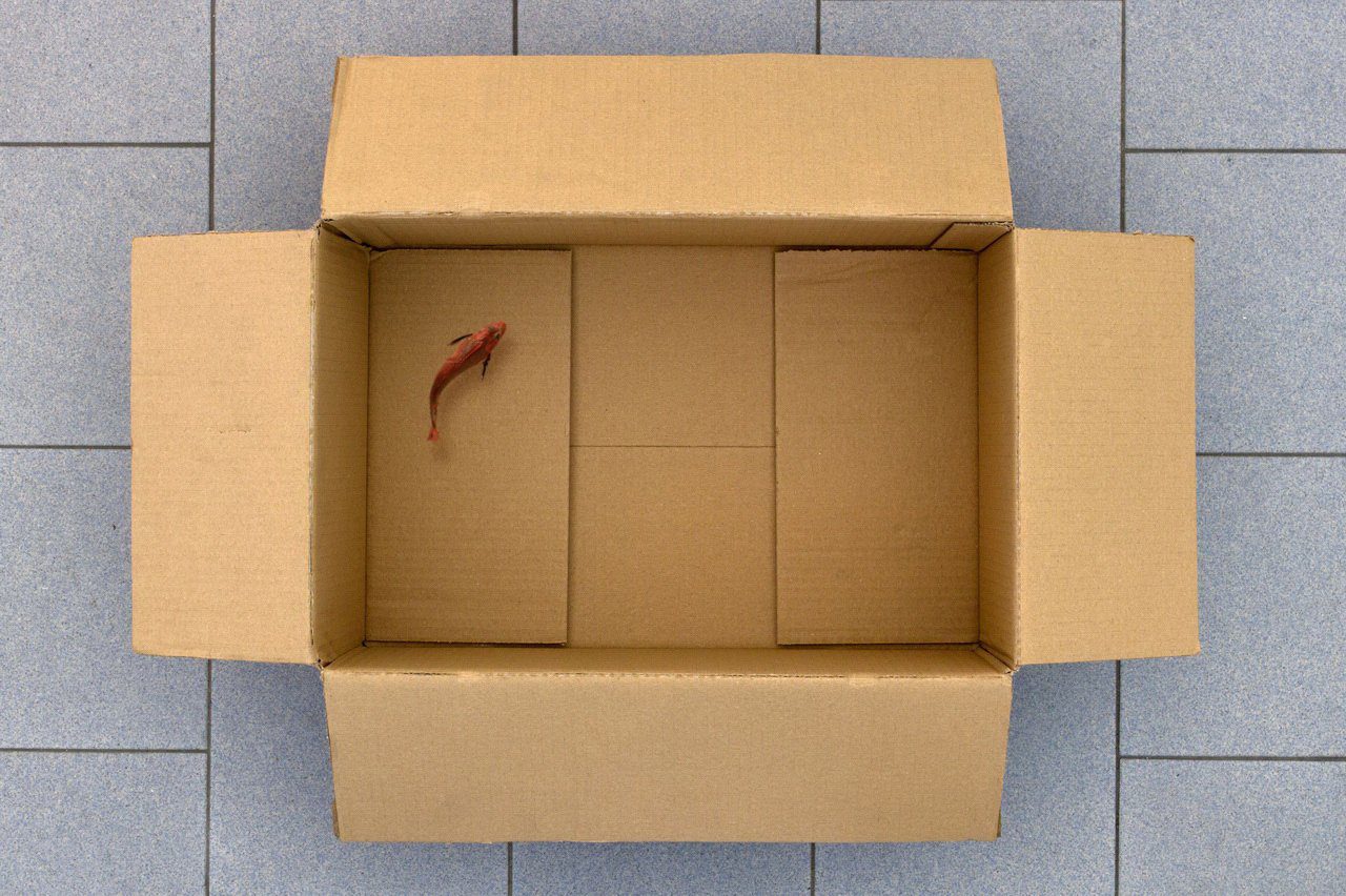 Unlikely by Giuseppe Colarusso