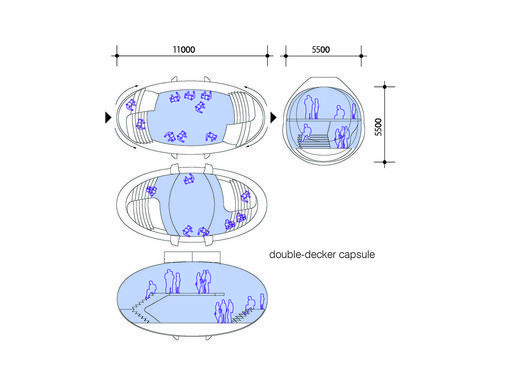 diagram capsule double decker
