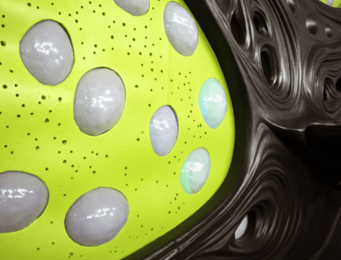 Faces : "Bi-Polar" | Texas A&M University College of Architecture