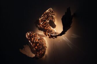 Fish Lamps
