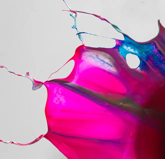 Orchid Gravity paintings