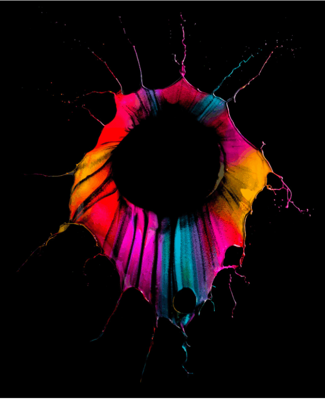 Orchid Gravity paintings