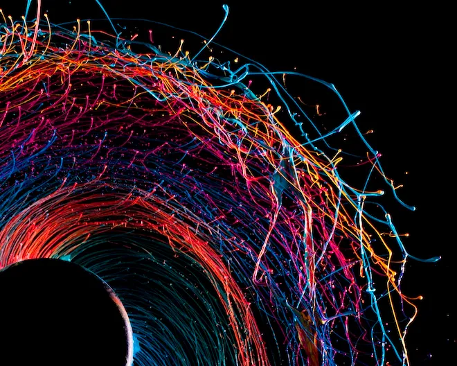 Orchid Gravity paintings