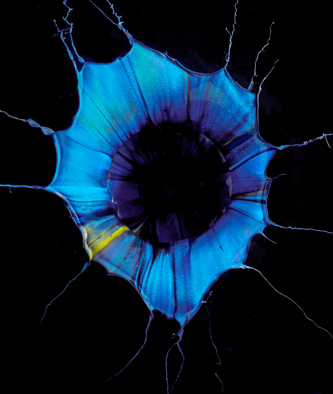 Orchid Gravity paintings