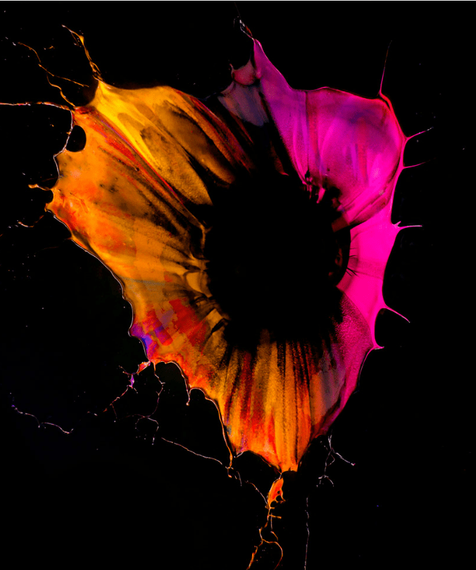 Orchid Gravity paintings