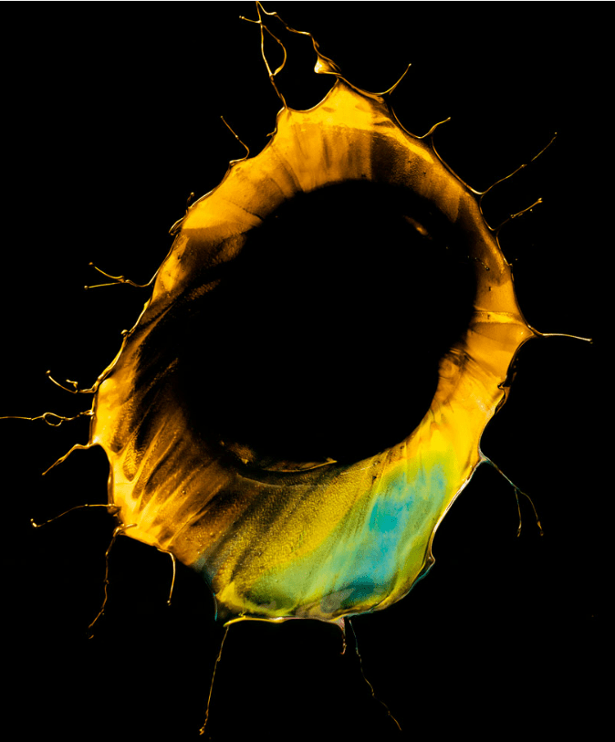 Orchid Gravity paintings