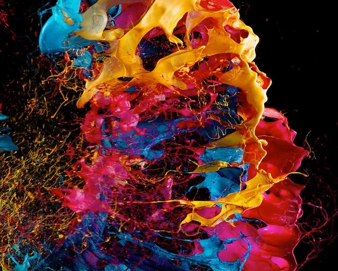 Orchid Gravity paintings