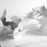 Pop up Book11