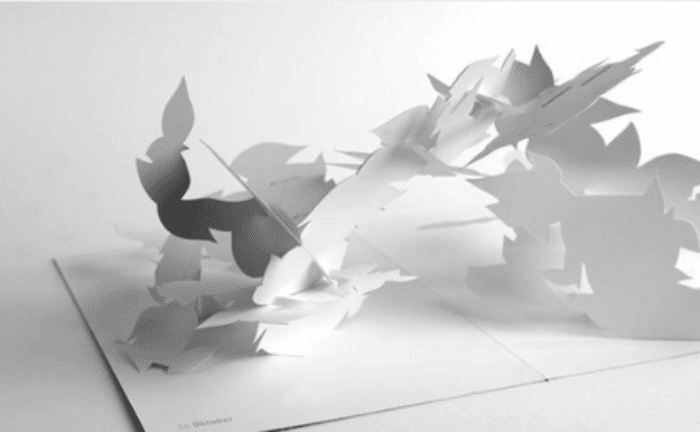 Pop up Book11