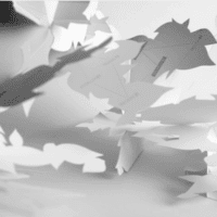 Pop up Book12