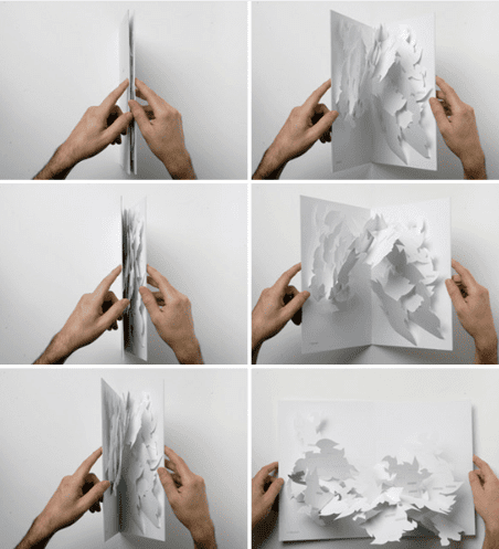 Pop up Book13