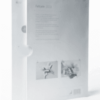 Pop up Book3