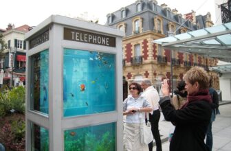 The aquarium booth