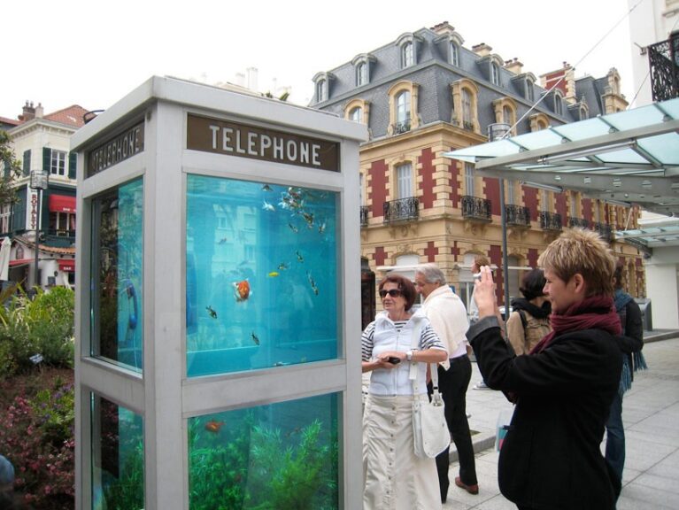 The aquarium booth | Benedetto bufalino + Benoit deseille