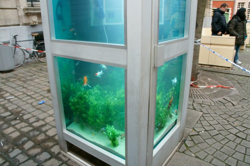 The aquarium booth