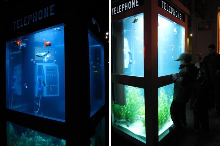 The aquarium booth