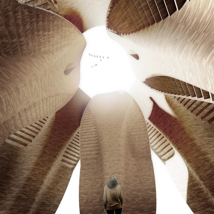 The Tulip, Multipurpose bridge for Amsterdam