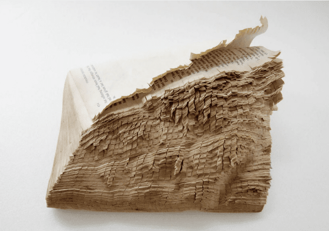 Taiwan Designers 2013