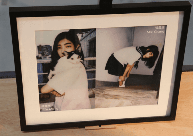 Taiwan Designers 2013