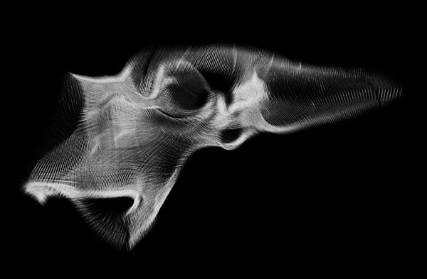 AA Singular Branching RES 04