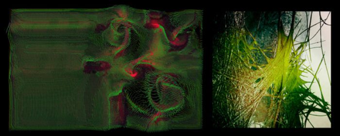 AA Singular Branching RES 08