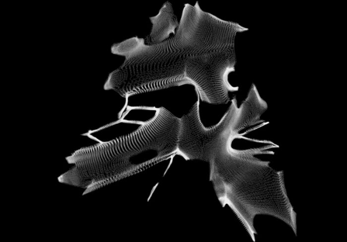 AA Singular Branching RES 0101