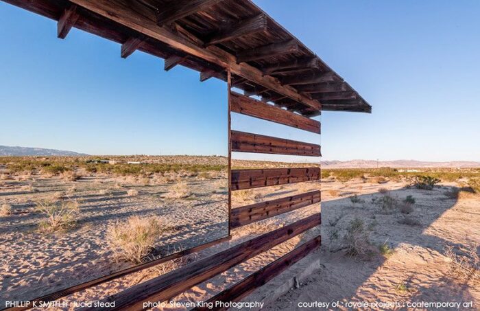 Lucid Stead